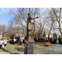 SAM_0641