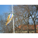 SAM_2580_resize