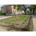 SAM_7678