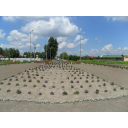korforgo1