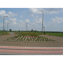 korforgo3