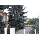 Balogh Karolyne 2. Dv. Petofi u._resize