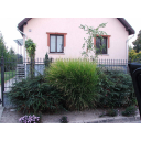 Szabo Laszlo 2. Dv. Rakoczi u. 8._resize_1
